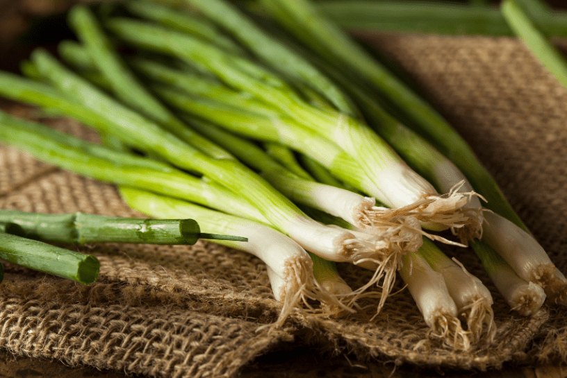 Green Onion Green Onion