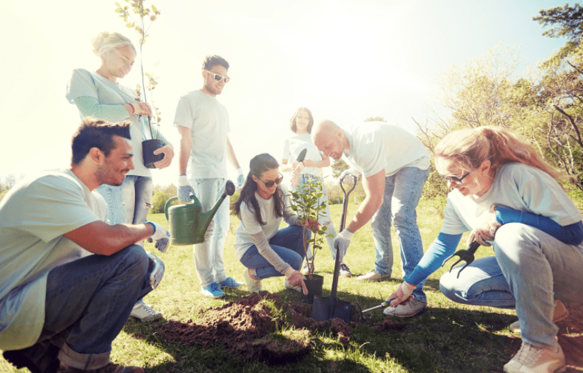 Plant A Peach Tree Plant A Peach Tree