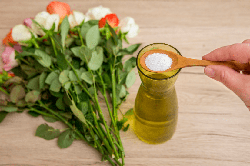 Steps To Keep Cut Flowers Fresh Longer Steps To Keep Cut Flowers Fresh Longer