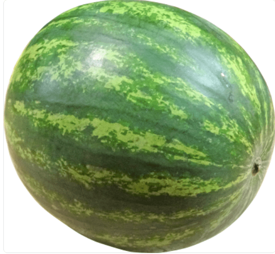 Watermelons Watermelons