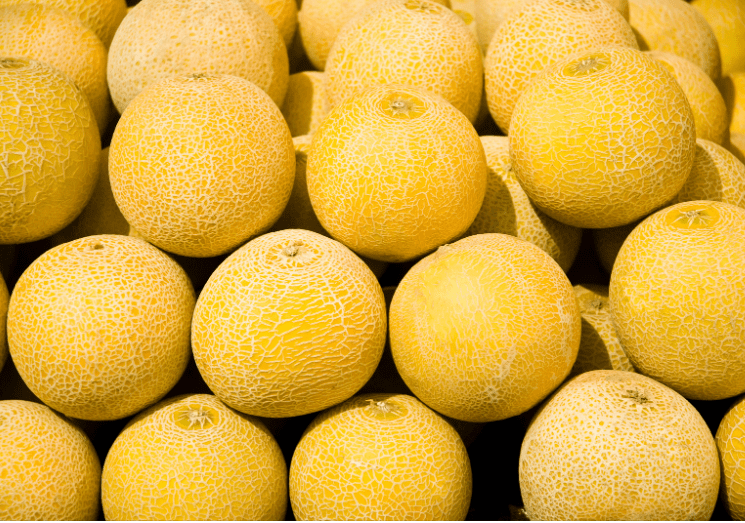 Yellow Melons Yellow Melons