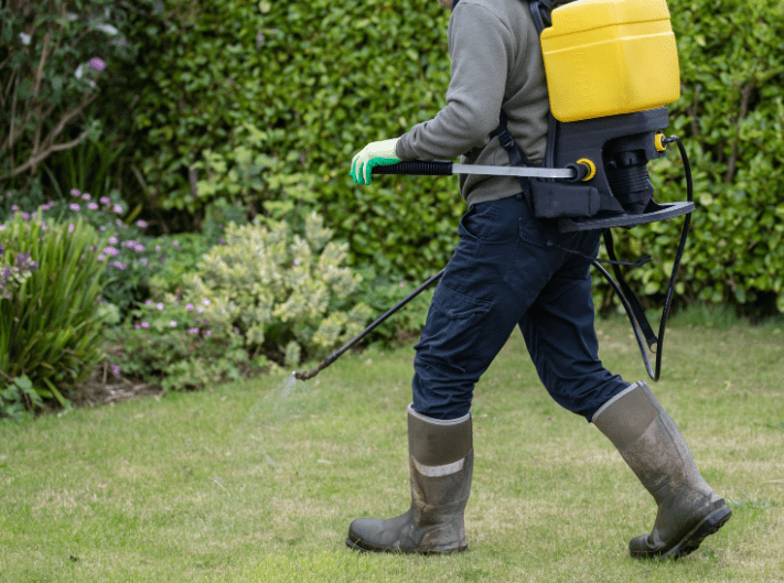 Best Weed Killer For Large Areas Best Weed Killer For Large Areas
