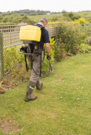 Best Weed Killer Best Weed Killer