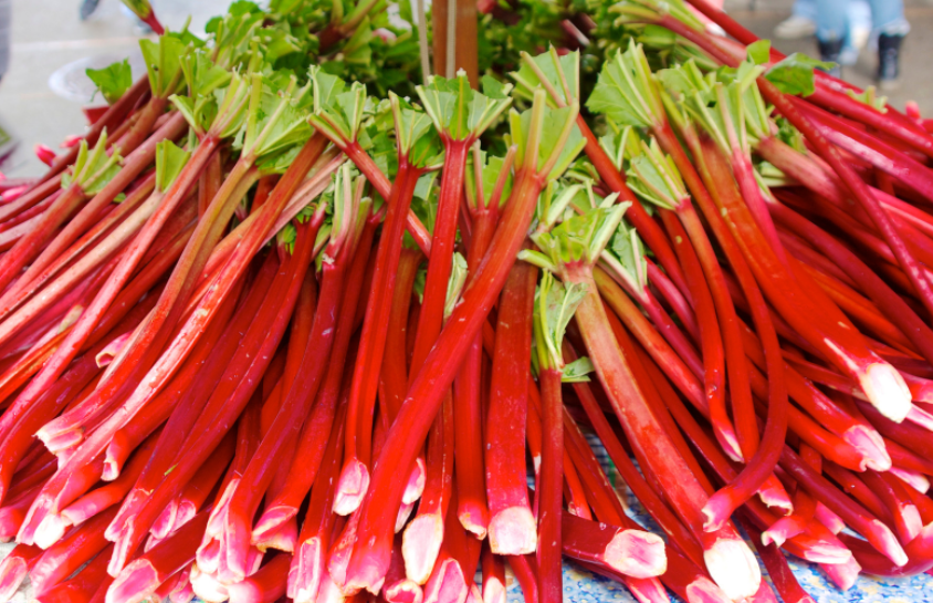 How to grow rhubarb How to grow rhubarb