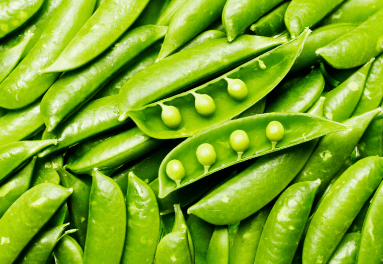 Snow Peas Snow Peas