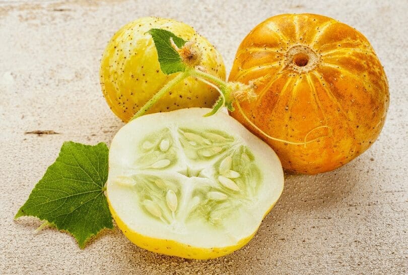 Lemon Cucumber Lemon Cucumber