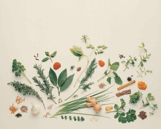 Spice Herbs Spice Herbs