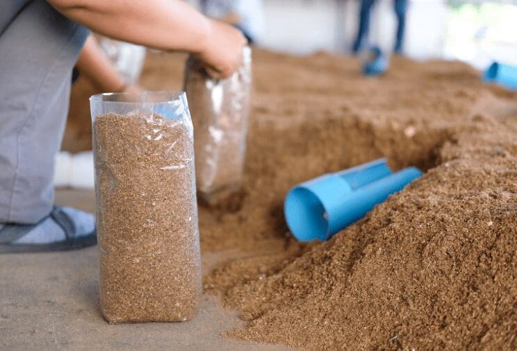 Artificial Substrate for Growing Mushroom in Bag