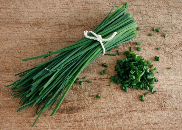 Chive Chive