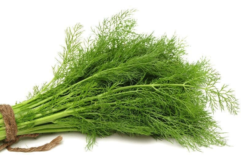 Dill Dill