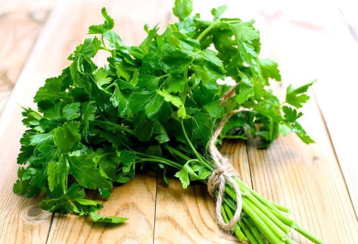 Parsley Parsley