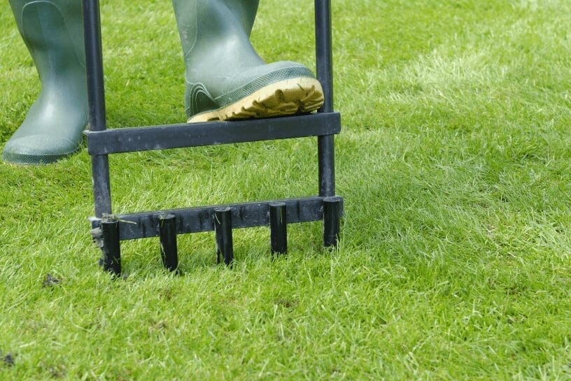 Ways To Accelerate Grass Growth Ways To Accelerate Grass Growth