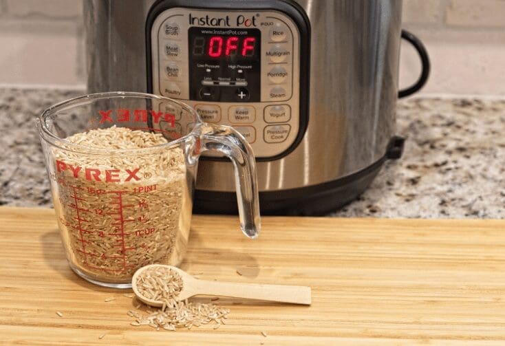 Instant Pot Instant Pot