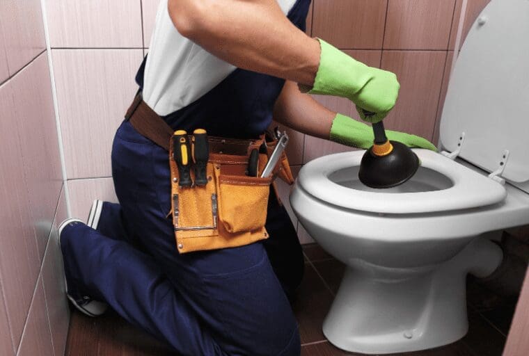 Toilet Plungers Toilet Plungers