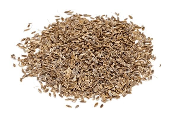 Dill Seeds Dill Seeds