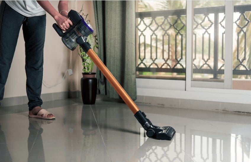 Absolute Vs Animal Dyson