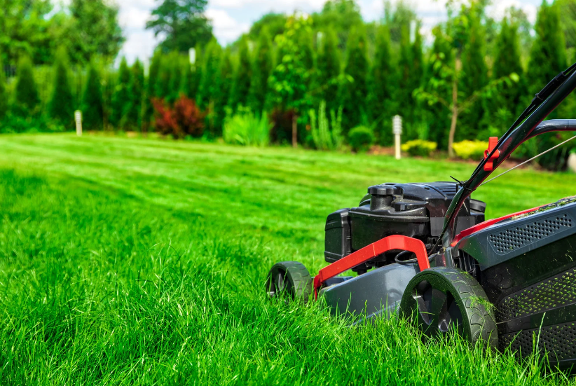 healthy lawn in Nebraska healthy lawn in Nebraska
