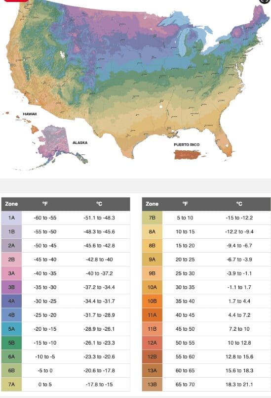 Endless Summer Hardiness Map A USDA hardiness zone map showing where Endless Summer hydrangeas grow best.