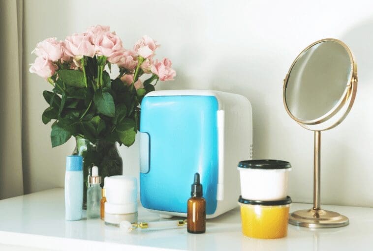 Best Mini Fridges Best Mini Fridges