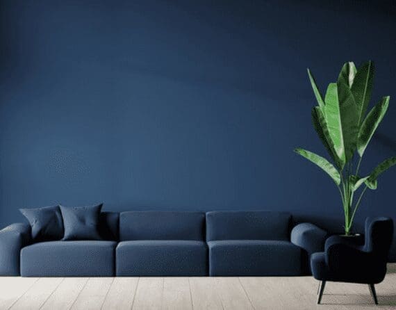 Painted Accent Wallh Painted Accent Wall