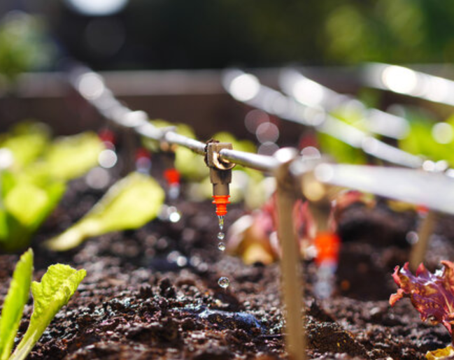 Drip Irrigation System Drip Irrigation System