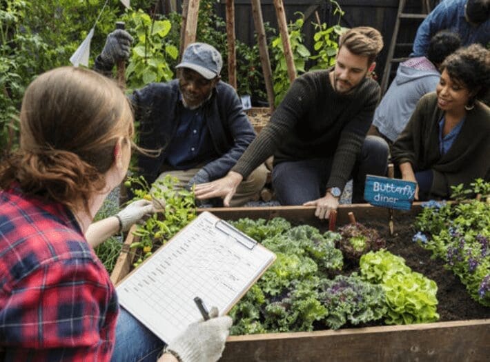 How to Start a Community Garden in Your Neighborhood A vibrant community garden with raised beds and people working together