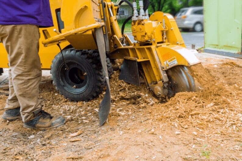 Stump grinding Stump grinding