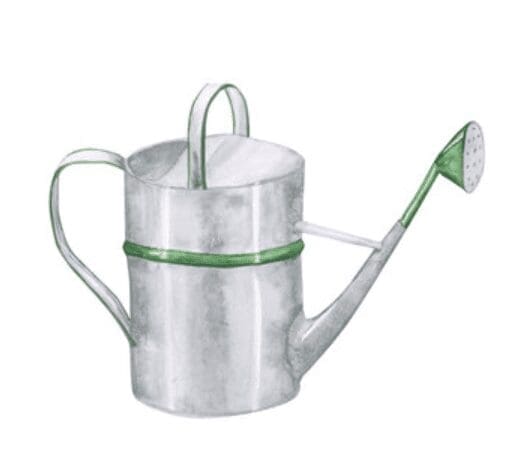 Watering Can Watering Can
