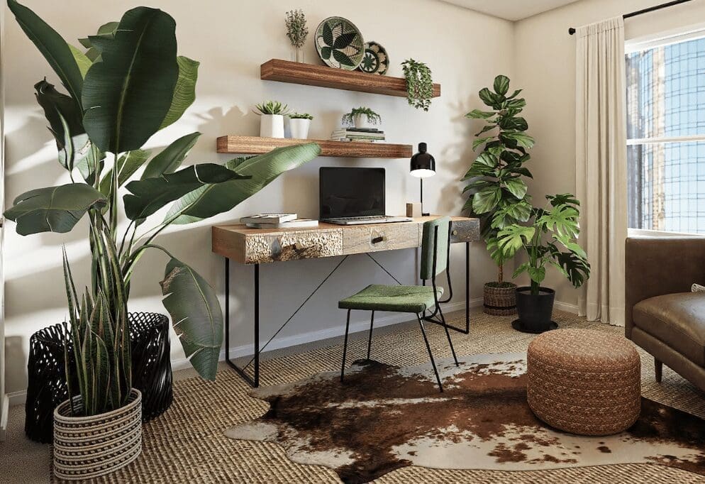 Budget-Friendly Home Improvement Idea