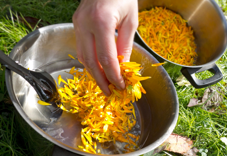 Herbal Eczema Salve A jar of homemade herbal eczema salve surrounded by dried chamomile and calendula flowers.