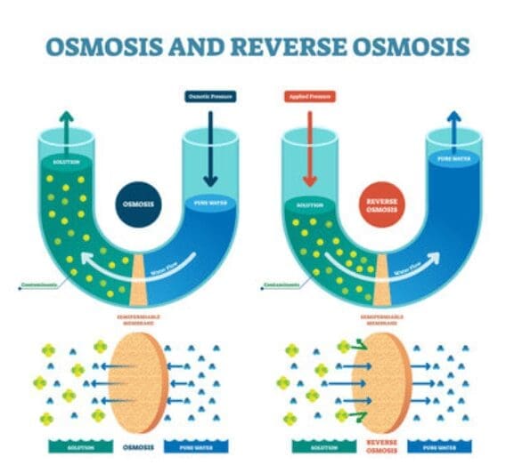Osmosis And Reverse Osmosis Osmosis And Reverse Osmosis