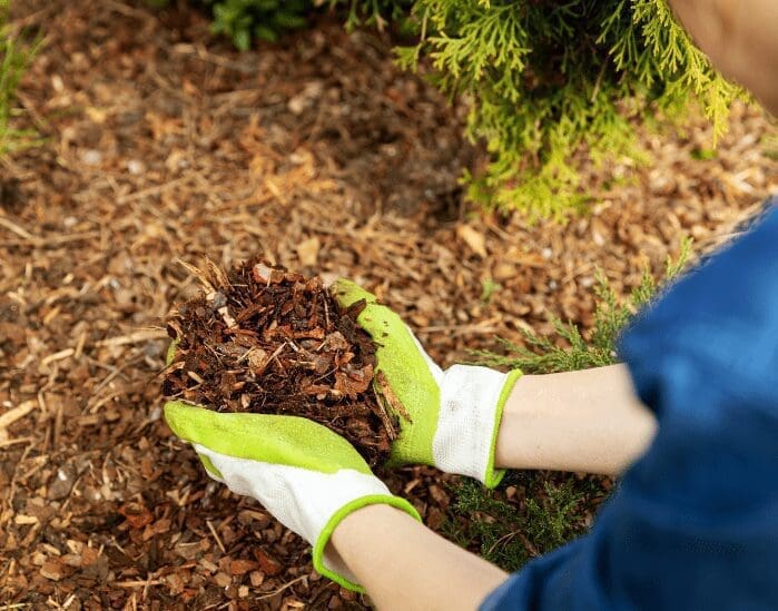 Right Mulch Right Mulch