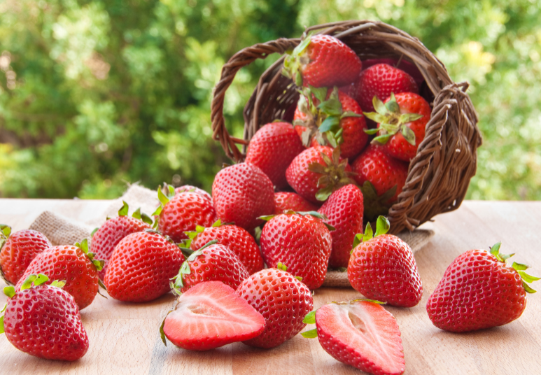 Sequoia Strawberry Sequoia Strawberry