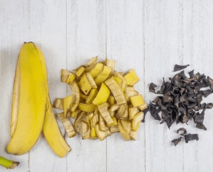 Banana Peel Fertilizer Banana Peel Fertilizer