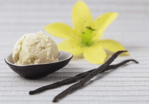 Vanilla Bean Ice Homemade vanilla bean ice cream with visible vanilla specks