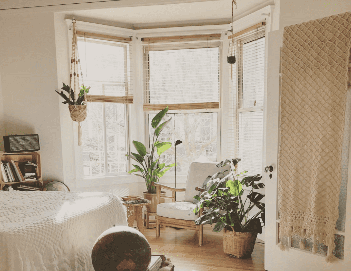 How to Garden if You Live in a Dorm How to Garden if You Live in a Dorm