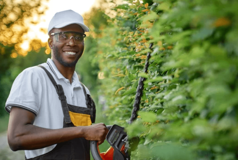 Professional Tree Care Services Professional Tree Care Services