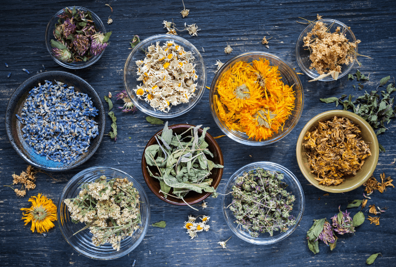 Herbs That Naturally Purify Your Home A collection of fresh green herbs in small pots used for purifying home air.