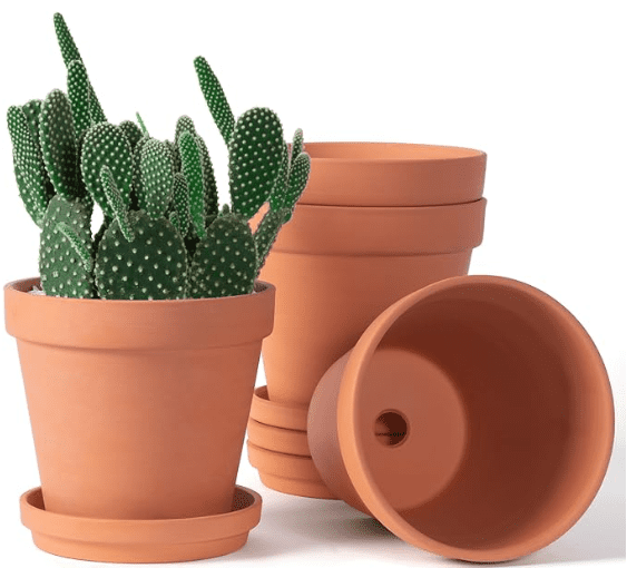 Terra Cotta Plant Pots Terra Cotta Plant Pots