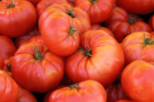 Brandywine pink tomato Brandywine pink tomato