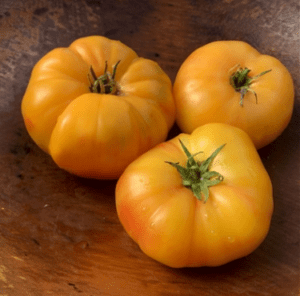 Hillbilly tomato Hillbilly tomato