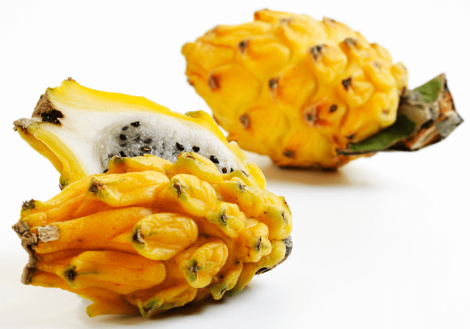 Yellow Dragon Fruit Yellow Dragon Fruit