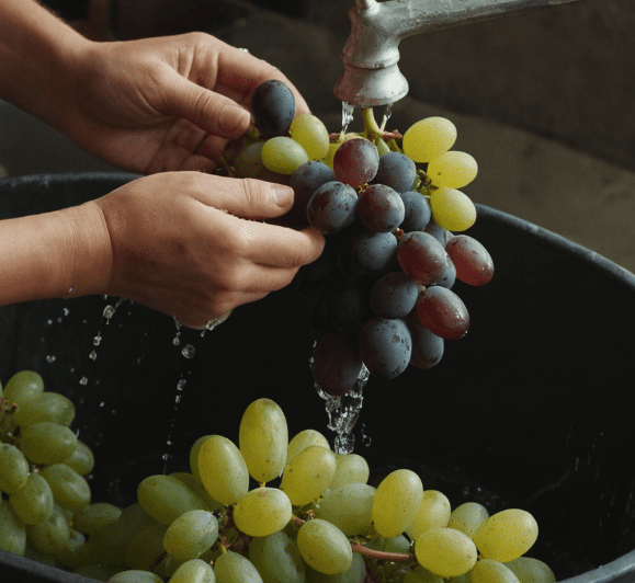 How to Wash Grapes How to Wash Grapes
