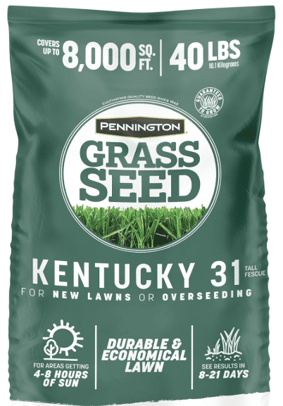 Pennington Kentucky 31 Tall Fescue grass seed bag, a durable and budget-friendly option for lawn overseeding. Pennington Kentucky 31 Tall Fescue grass seed bag, a durable and budget-friendly option for lawn overseeding.