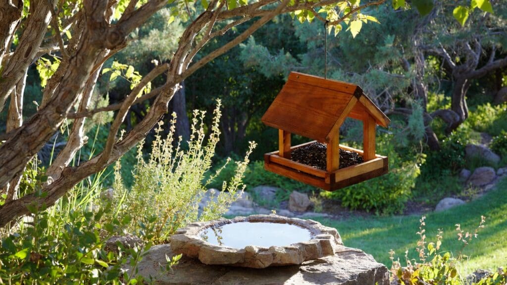 Backyard bird feeder Backyard bird feeder