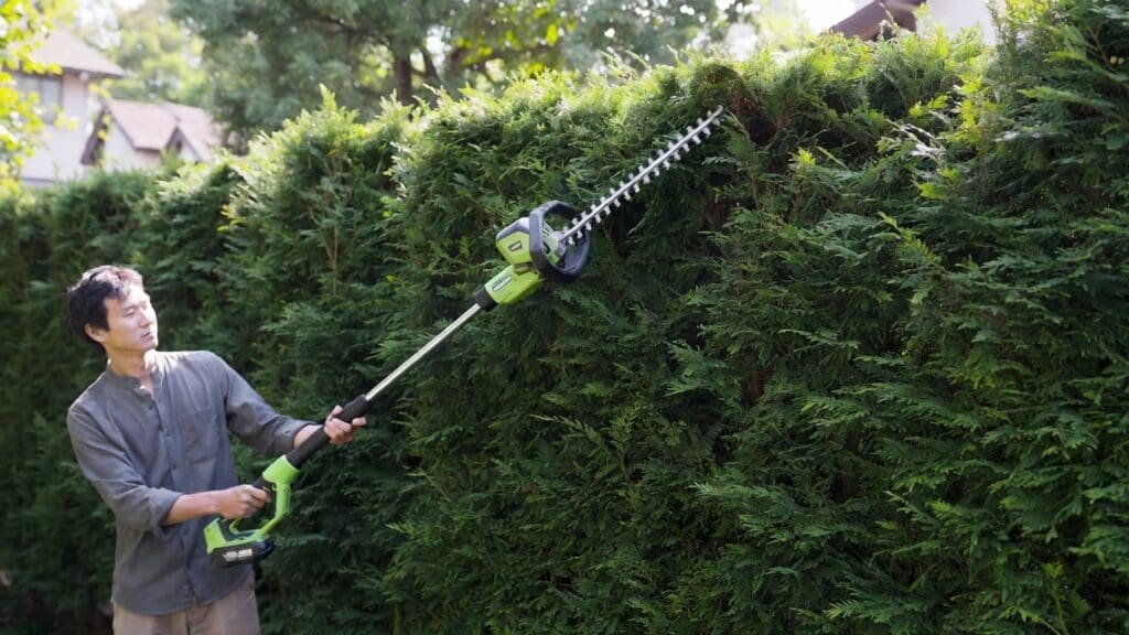 Homeowner using a cordless pole hedge trimmer from ground level to shape the top of a tall privacy hedge Homeowner using a cordless pole hedge trimmer from ground level to shape the top of a tall privacy hedge
